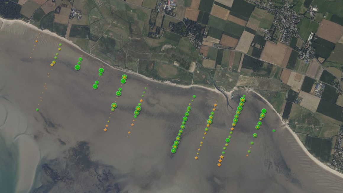 Auf Luftbild visualisierte Daten aus dem vergangenen Sommercamp im Nationalpark