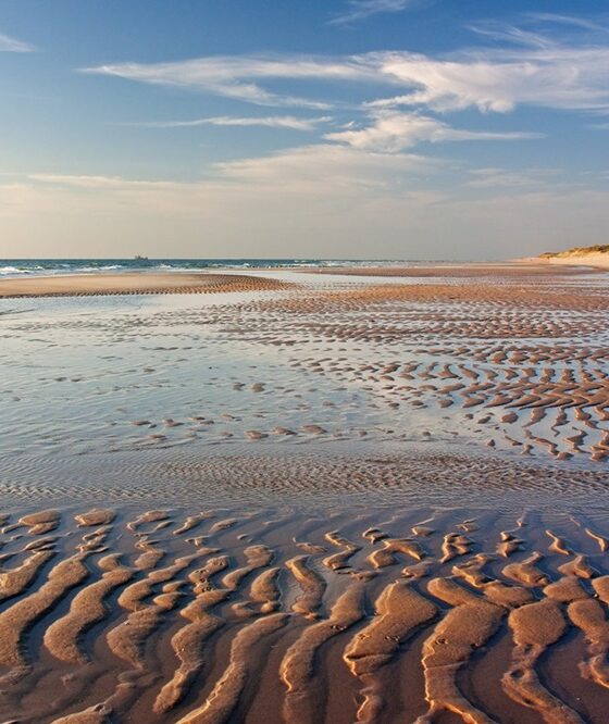 Wattenmeer bei Abendsonne